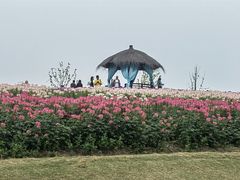 -径山花海