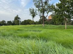 -汉长安城未央宫国家考古遗址公园