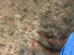 -嘉佑温泉水世界
