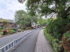 -小河无名面馆