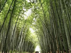 -同里国家湿地公园