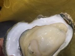 -蠔门宴海鲜城·阳江特色菜