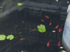 -戏马台景区
