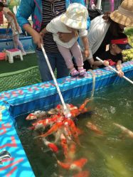 -萌宠亲子动物乐园(槐房万达店)