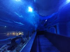 -成都浩海立方海洋公园