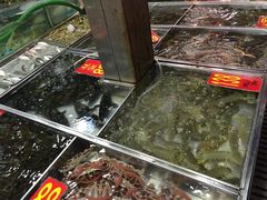 湛江渔港(乐园路店)-湛江渔港·大排档(乐园路总店)