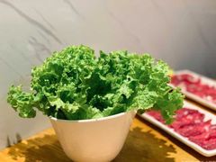 生菜-海银海记潮汕牛肉火锅(新港中路海珠店)