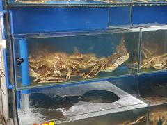 -蚝专家(北滘店)