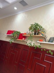 -南京医科大学友谊整形外科医院