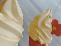 榴莲芒果口味-麦当劳(金地店)