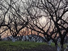 -敬亭山风景名胜区