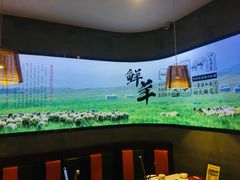 -九府羊·鲜羊火锅·烤串(新华路店)