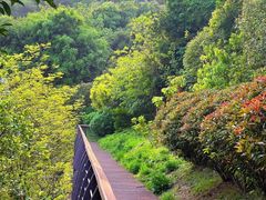 -牛岗山公园
