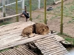 -青藏高原野生动物园