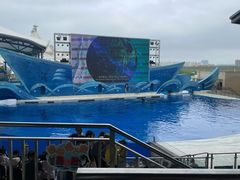 -上海海昌海洋公园