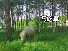 -北陵公园