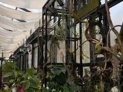 -北马山庄植趣咖啡
