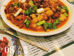 -沙枣树辣子鸡•新疆家常菜(喀什西路店)