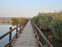 -西青郊野公园