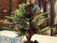 -一棵树·意大利西餐厅One Tree(新城店)