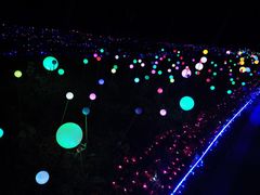 -昆山城市生态森林公园