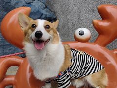 -观澜湖新城运动奥莱区