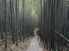 -午潮山国家森林公园