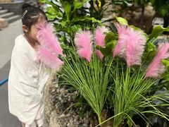 -兴芮温泉度假区