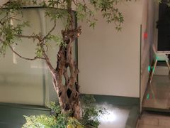 -潮上潮(南中环店)