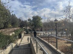 -永定河休闲森林公园