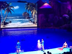 -芜湖新华联大白鲸海洋公园