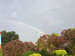 -东莞植物园