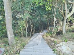 -梧桐山风景名胜区