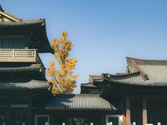 -香积寺