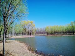 -东郊湿地公园