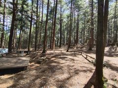 -重庆睡佛山森林公园