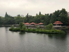 -箸福·夜上海(月牙湖公园店)