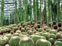 -南山植物园