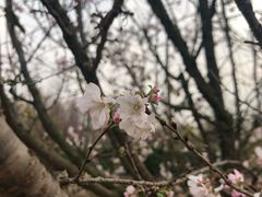 -云幽谷旅游区