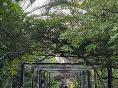 -西双版纳洲际度假酒店-泰傣餐厅