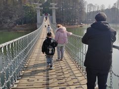 -东湖落雁景区