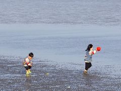 -南汇嘴观海公园