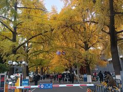 -四川大学(华西校区)