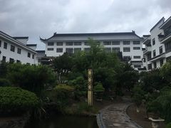 -绿园春早茶