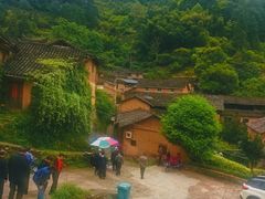 -杨家堂村