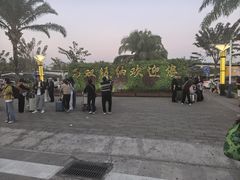 -野象谷景区