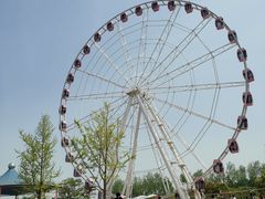 -自然谷恐龙园