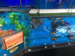 -眉州东坡(博雅店)