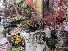 -金陵花卉交易市场