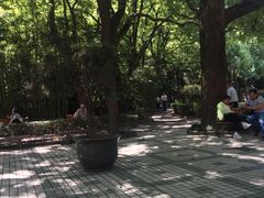 -上海交通大学医学院附属瑞金医院(总院)